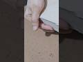 Thick Mud Reforms Water Crumbling #asmr #shorts #oddlysatisfying #satisfyingasmr #puremud