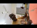 CLASE LENGUAJE (ESPAÑOL)-PTA DESDE CASA