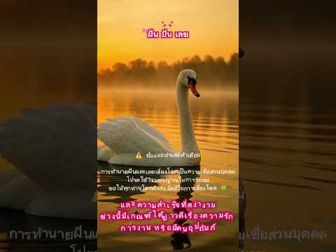 ฝันเห็นหงส์ - ฝันเห็นหงส์หมายถึง ทำนายฝันเห็นหงส์ ฝันเห็นหงส์เลขอะไร ฝันเห็นหงส์เลขเด็ด