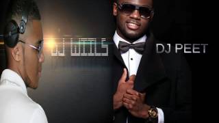 Calvin Harris   This Is What You Came For ft  Rihanna  Dj Peet \u0026 Dj Wiils AFRO BEAT Remix