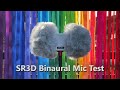 Sr3d binaural microphone test  audio with intelligence limited uk
