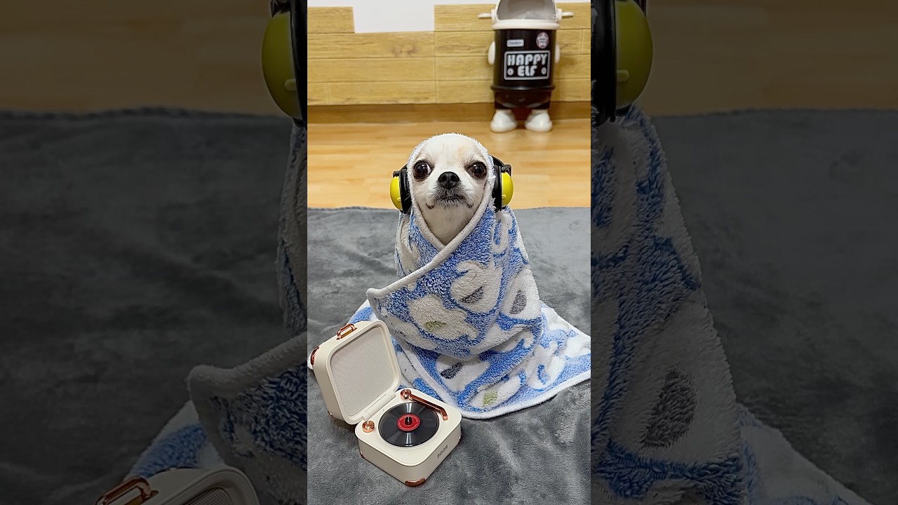 Helios Rap Remix X DJ Jjeom 