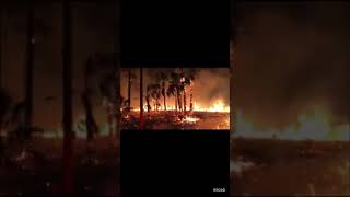 Naples Florida is on FIRE 🔥 #sendhelp #prayforrain #fire