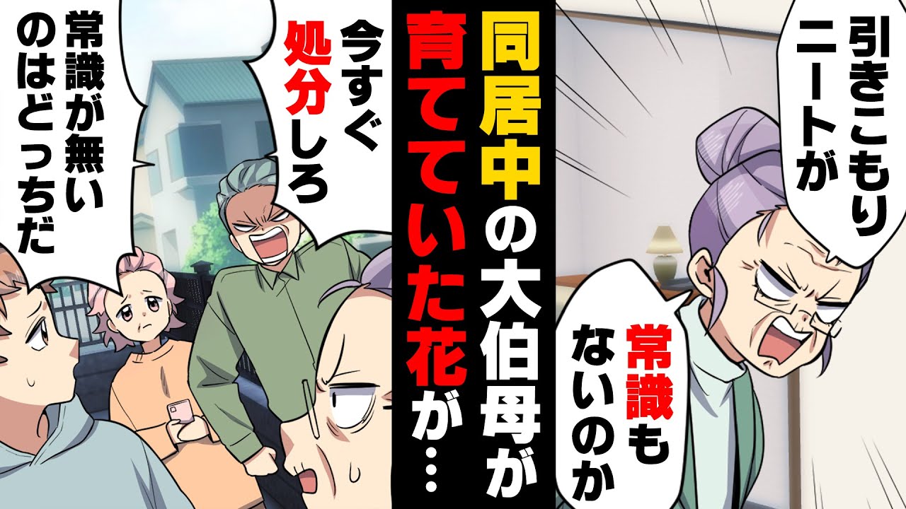 【漫画】就活に失敗し大学卒業後無職のまま就活をしていた僕に「常識が無いのか！無駄な事は辞めろ！」と愚痴をこぼす大伯母。図星の僕は強く出れず...→「今すぐ処分しろ！」人のため無償で頑張った結果...