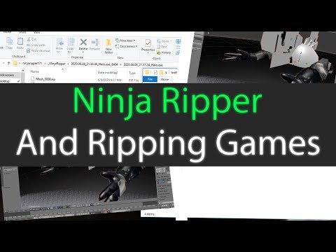 Ninja Ripper "Ripping Game Models And Textures Guide"