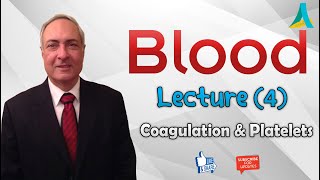 Dr.Nagi - Live Physiology - Lecture 27 - Blood (4) - Coagulation & Platelets
