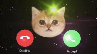 kucing lucu, nada dering iPhone @Tahip