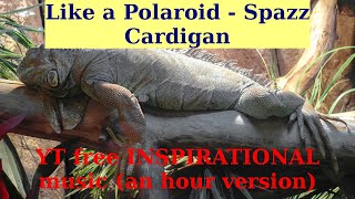 Like a Polaroid by Spazz Cardigan. An hour version. FREE INSPIRATIONAL music.