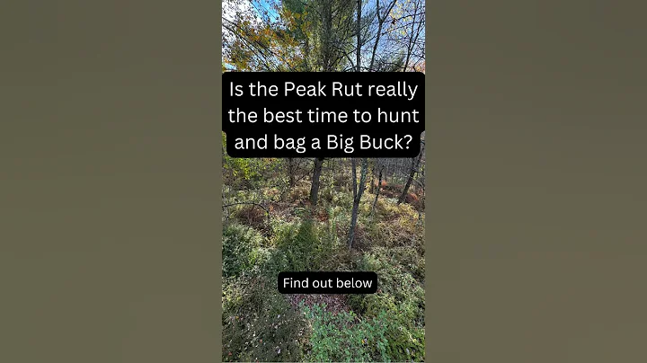 Is the Peak Rut the best time to hunt??