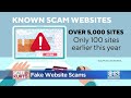 Scammers Using Fake Websites To Take Advantage Unsuspecting Shoppers