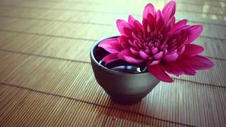 Trip Hop Electronic Naked Soul Feat Syusi U0026 Lilli By Dj Gamik