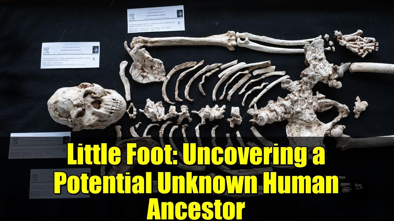 Little Foot: Uncovering a Potential Unknown Human Ancestor | Latest Science News