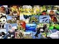 DÍA MUNDIAL DE LOS ANIMALES