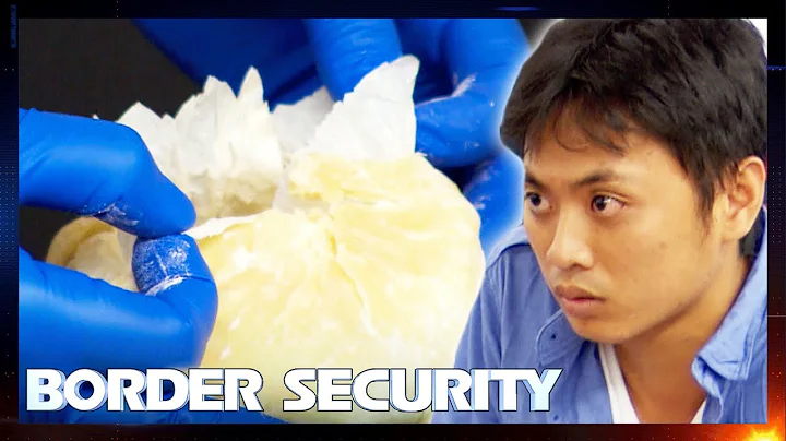 Dr*gs Hidden In Cakes Detected by Sniffer Dog 🍭S10 E11 | Border Security Australia Full Episodes
