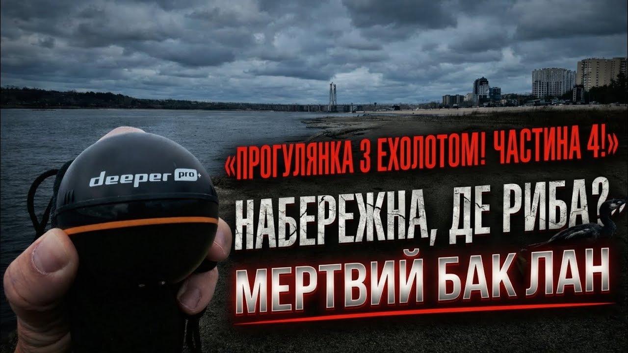Сканування риболовних точок на Набережній! Знайшов мертвого баклана на берегу! Що знову прилитіли? 
