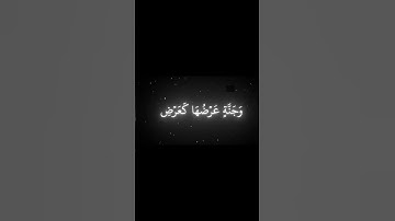 اكتب شي توجر علية | القارئ محمد اللحيدان🤍🖤