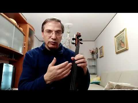 Video: Un violino ha i tasti?