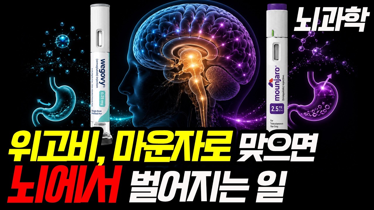 위고비, 마운자로가 뇌에 미치는 영향 I 뇌과학