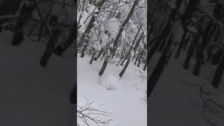 藏王滑雪之登山吊椅 