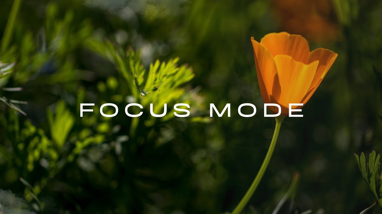 Deep Focus Music for Work & Study | Calm Background Sounds, No Distractions