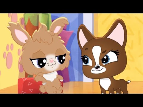 Roxie got ugly there for a moment - Littlest Pet Shop- A World Of Our Own