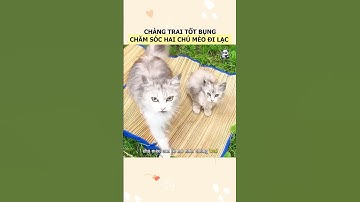 Chàng trai tốt bụng chăm sóc hai mẹ con chú mèo đi lạc