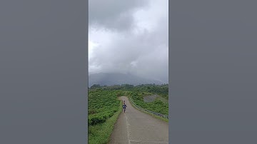 suasana kebun teh yang indah dan sejuk, gowes ke cianten herang bogor