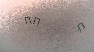 The Staple Tango By Tamtam Objektentheater