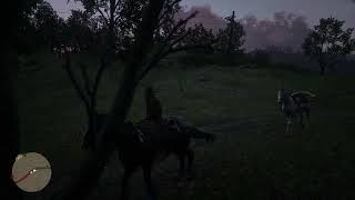 MongoTV_22500 - Red Dead Redemption 2 - Part 1467 - Old PC