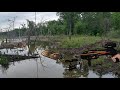 Beaver hunting with a bat  ballista bat pistol crossbow