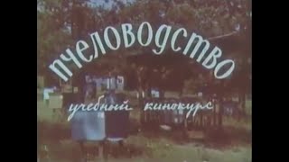 ПЧЕЛОВОДСТВО учебный кинокурс СССР 1969 г  СК