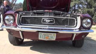 FORD MUSTANG CONVERTIBILE DEL 1968 - CARMAGNOLA (TO) 9 - 3 - 2014.