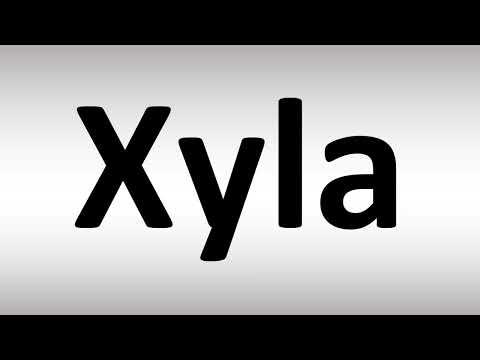 Video: Come si pronuncia xylon il nome?