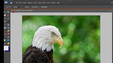 How To Change Color In An Image With Photoshop Elements