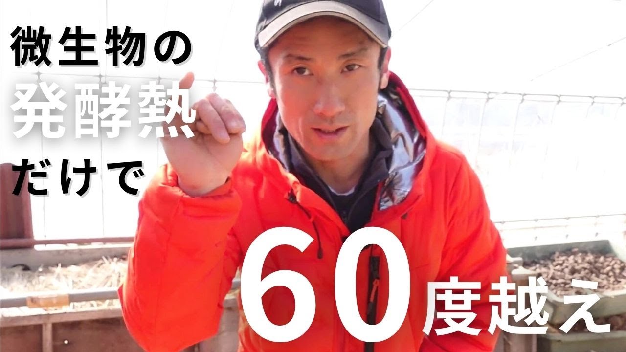 踏み込み温床とは？】マイナス6度の八ヶ岳で夏野菜の種まきをする方法