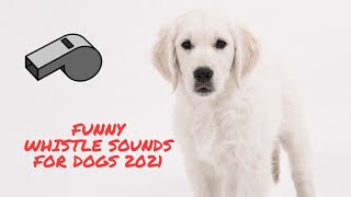 Funny Whistle Sounds For Dogs screenshot 2