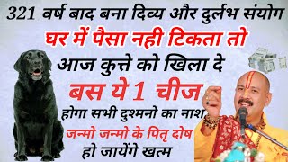 आज ही काले कुत्ते को खिला दें ये 1 गुप्त चीज जन्मो जन्मो के दुख हो जायेंगे दूर बन जाओगे करोड़पति