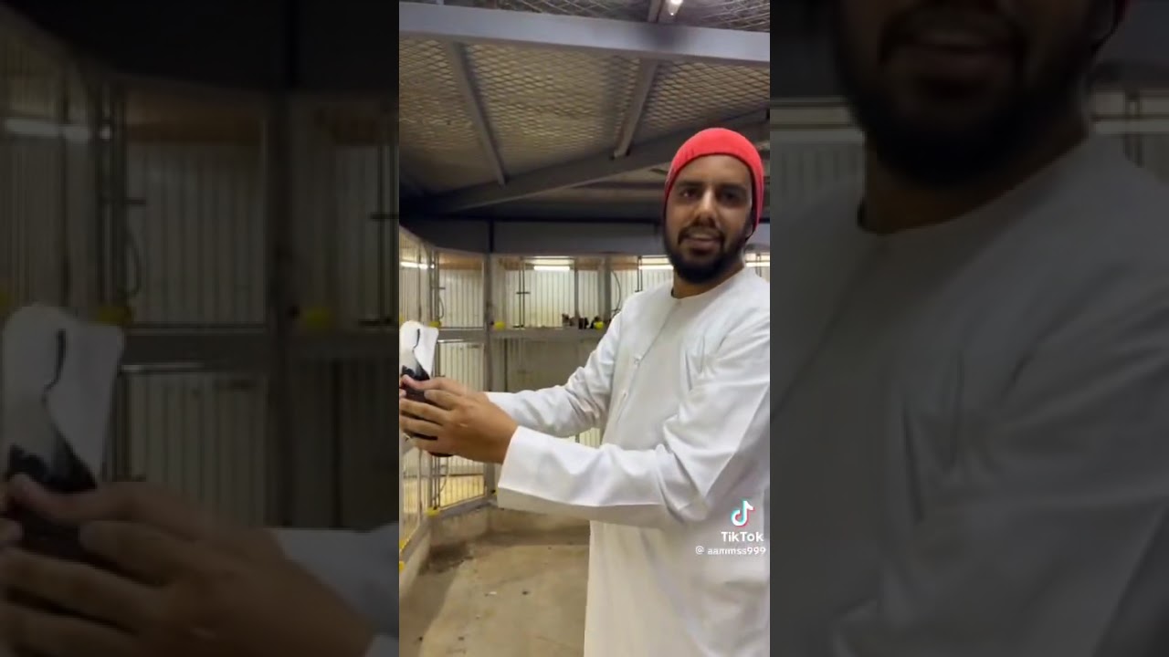 حمام قطيفي للأستاذ: نايف المالكي (الجزء الأول)