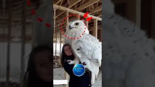 Rarest animals on earth 🌎#shorts #rareanimals #trollface