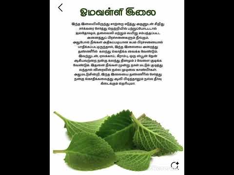 ஓமவள ள இல