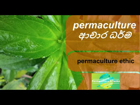 permaculture ethics / permaculture ආචාර ධර්ම