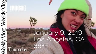 Team offsite in Joshua Tree!
