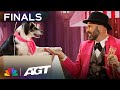 Adrian Stoica and Hurricane pull out all the stops to IMPRESS Sofia Vergara! | Finals | AGT 2023