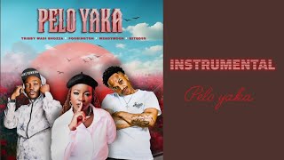 Tribby Wadi Bhozza - Pelo Yaka (Instrumental) feat. Poobington, Wendy Moon & Hitboss SA
