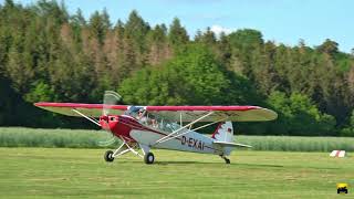 Piper Pa18 Super Cub D-Exai - Take Off & Landing