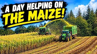 Building roofs and maize silage!!