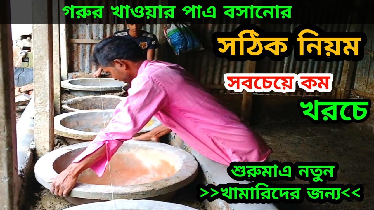 গরুর চারি বানানোর নিয়ম || গরুর খাবার পাএ তৈরি || গরুর চারির উচ্চতা || Sheikh alif vlog