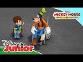 Mickey Mouse ¡vamos de aventura!: En silla de ruedas | Disney Junior Oficial