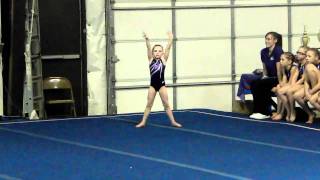 KFloorRoutine.AVI