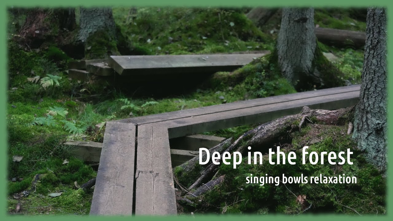 Deep in the forest | Singing bowls relaxation | Nature healing meditation